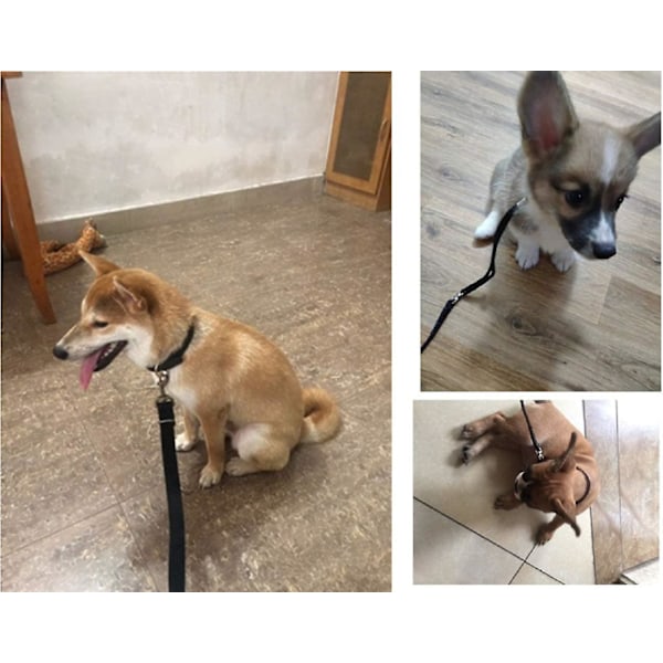 Lang hundetreningsbånd med håndtak for små og store hunder - Svart (5m)