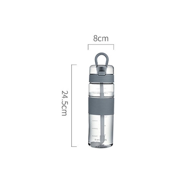 800 ml grå BPA-fri lækagesikker Tritan vandflaske