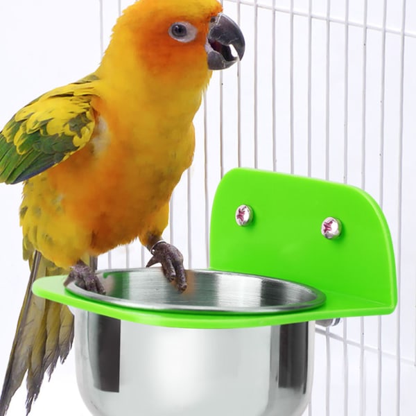 Bærbar fugl Kjæledyr Metal Mat Vann Fôringsskål Beholderkopp (grønn)