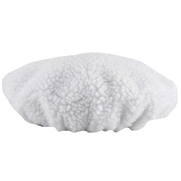 4-pack 10 TUM POLERARE POLERTRISSA POLERING BIL VAXARE