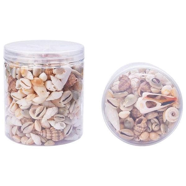 Seafood Mix Large Shells Decorative Crafts Decoration Shells Maritime Decoration