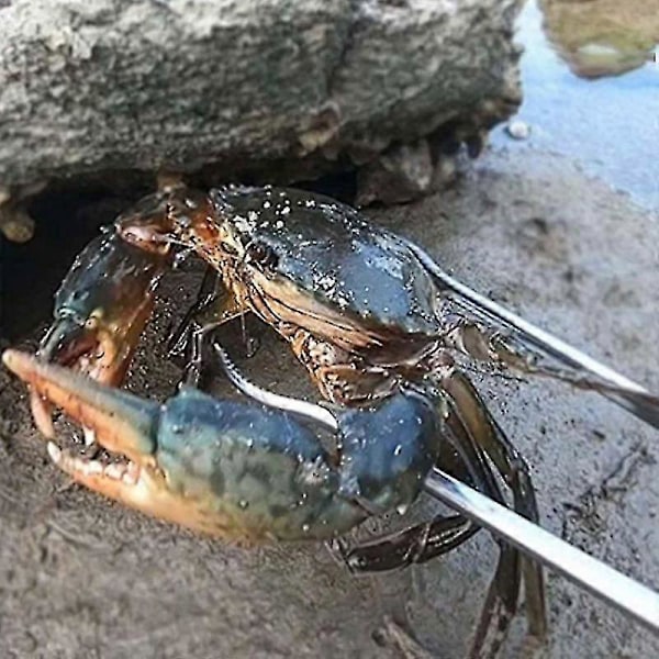 Förstärkt Multifunktionell Halkfri Skräpkrabbklämma Artefakt Tång Fiskeverktyg
