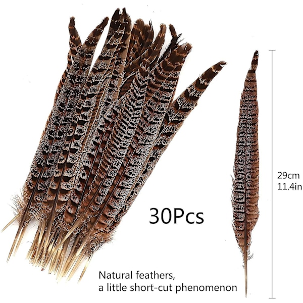 30 stk. naturlige fasanfjer, gør-det-selv fasanhalefjer, 15-28 cm blød indfødt fjer kompatibel med hårhatte, håndværk, festdekoration, naturlig farve-A
