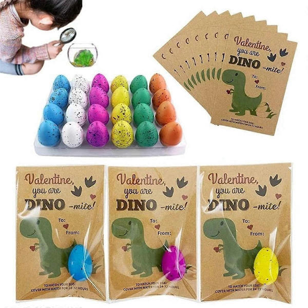 24 stk. Klækkende Voksende Dinosauræg