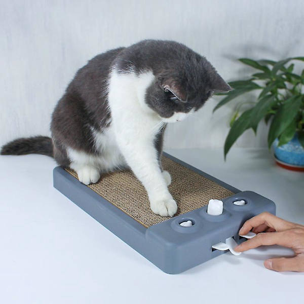 Kattmynta Kattleksaker Klösbräda Väggmonterad Kartong Klösdyna för Kattungar och Katter