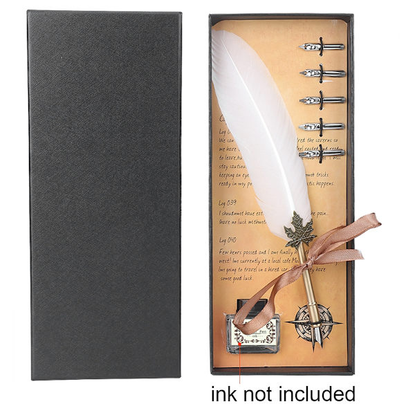 Retro Metal Pen Tube Rustfrit stål Nibs Dip Writing Feather Pen med Pakkeboks (Hvid)
