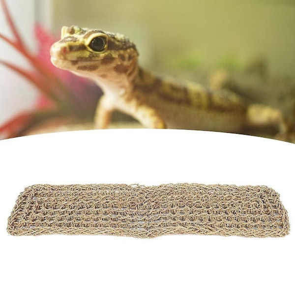 Reptilbur til Kamelæon, Firben, Gecko, Slanger, Leguan, Skildpadder (29,5' X 7' Rektangel)