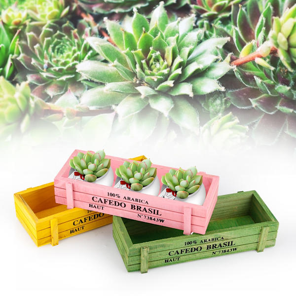 3 stk Hjemmekontor Skrivebord træ saftige blomsterhave Plantepotte opbevaringsboks dekoration