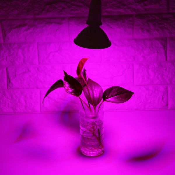 Højeffektiv 24W E27 LED Grow Light til hydroponiske blomster- og grøntsagsplanter