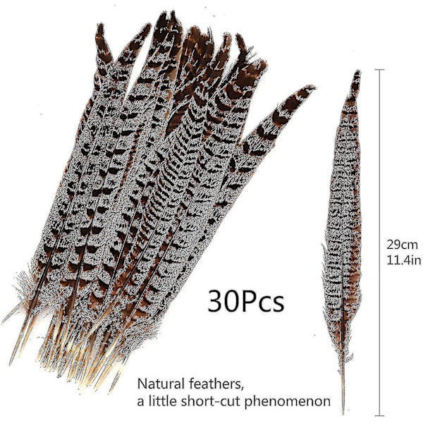 30 stk. naturlige fasanfjer, gør-det-selv fasanhalefjer, 15-28 cm blød indfødt fjer - B1