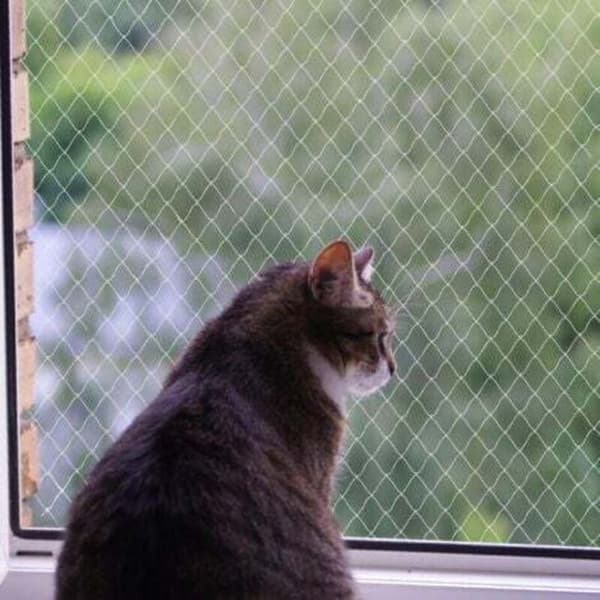 Cat net, nylon net, no drilling required, transparent, cut and bite resistant, protects terraces, windows and doors (3 x 4 m) Transparent