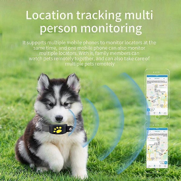 Smart Djurhalsband med GPS-tracker och Lättviktig Vattentät Aktivitetsmätare för Katter och Hundar