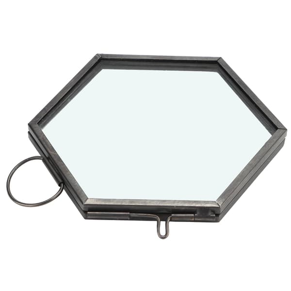 Hängande Geometrisk Hexagonal Glas Bildram Torkad Blomma Växtprov Klämma Display