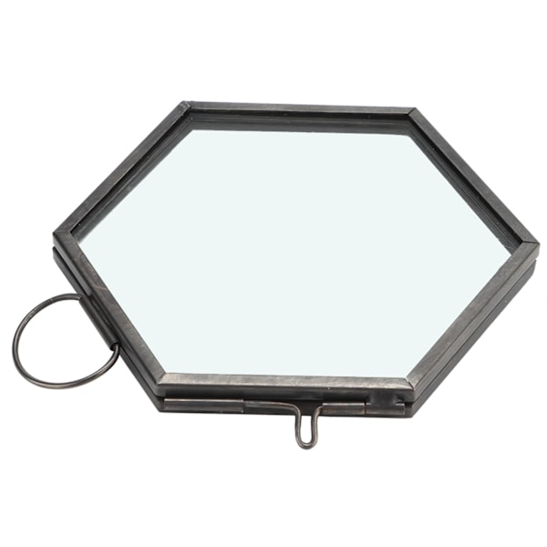 Hengende geometrisk sekskantet glassram tørket blomst planteprøve klippdisplay