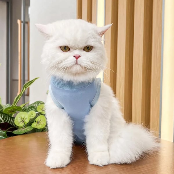 Kattbody efter operation återhämtningsdräkt kläder modal återhämtningsgips kastrering sterilisering avvänjning slickskydd dräkt för katt, S