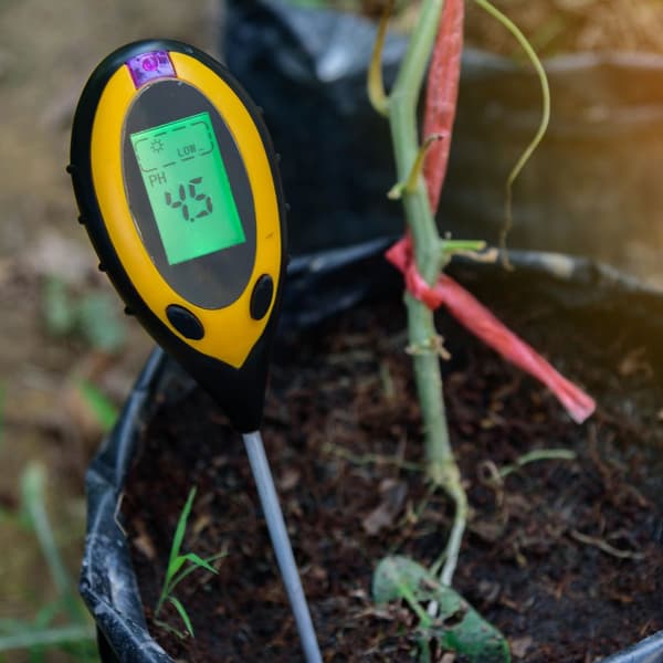 Fuktighetsmåler Plantetester pH-måler Jordtester