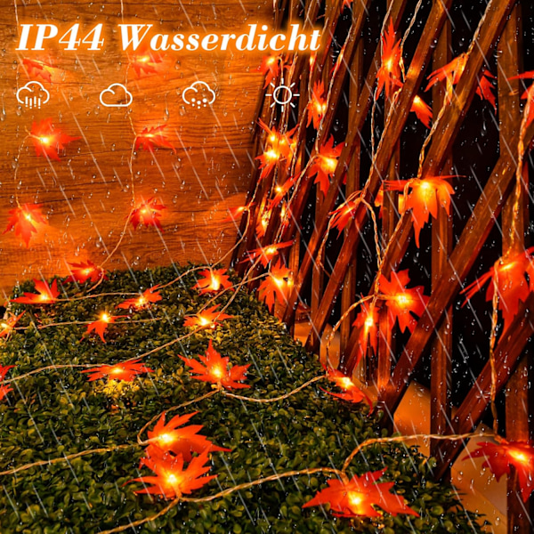 Höstfée-lampor, 3m 20 LED Halloween-fée-lampor