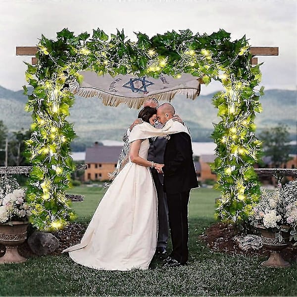 Solcelle Lys Kæde 50 Hvide Varme LED Lys 5m