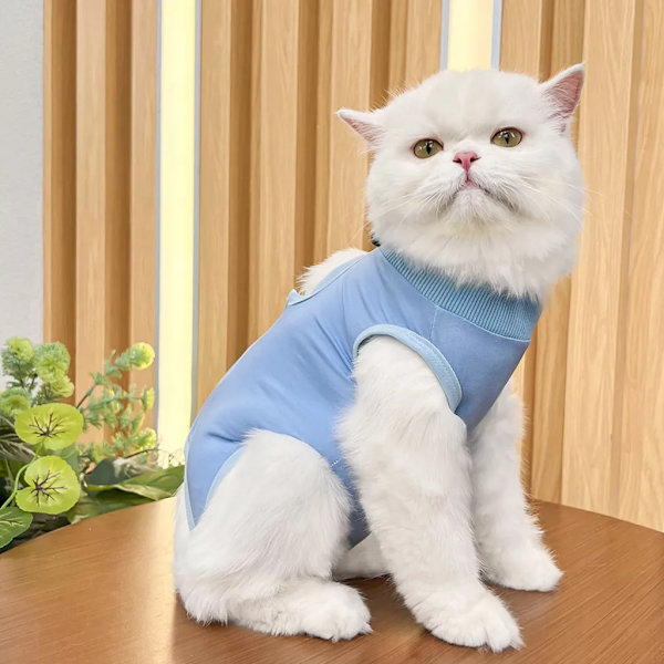 Katt body etter operasjon, restitusjonsdrakt, klær, modal restitusjonsgips, kastrering, sterilisering, avvenning, slikkbeskyttelsesdrakt for katt, S