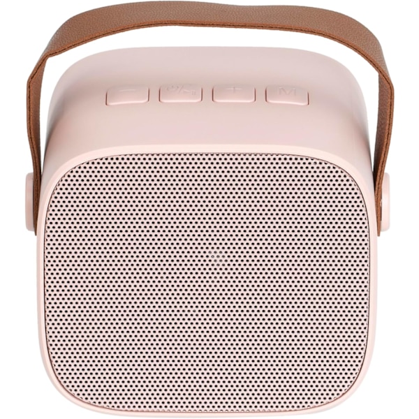 Bärbar högtalare med mikrofon, bärbar karaoke, utomhuscamping, trådlös Bluetooth mobilhögtalare