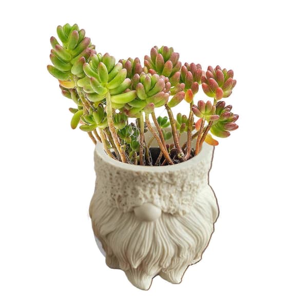 Sød dværg blomsterpotte silikoneform beton penholder resin epoxy form