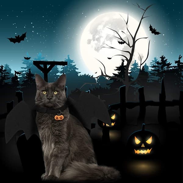 Söpö Halloween-lepakkoasu lemmikille, musta