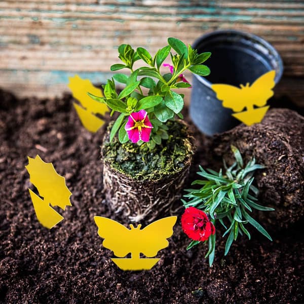 Alien insektsfälla, dubbelsidig, kraftfull, insektsfälla