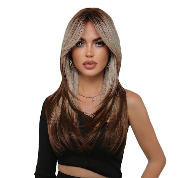 Damer Platina Gradient Brun Lang Rett Lagdelt Parykk