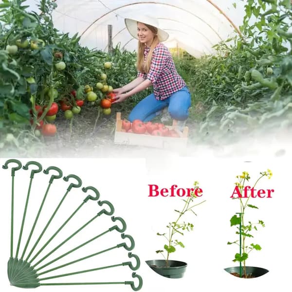 30 st plantstöd ram blomster grönsak vin klätterram