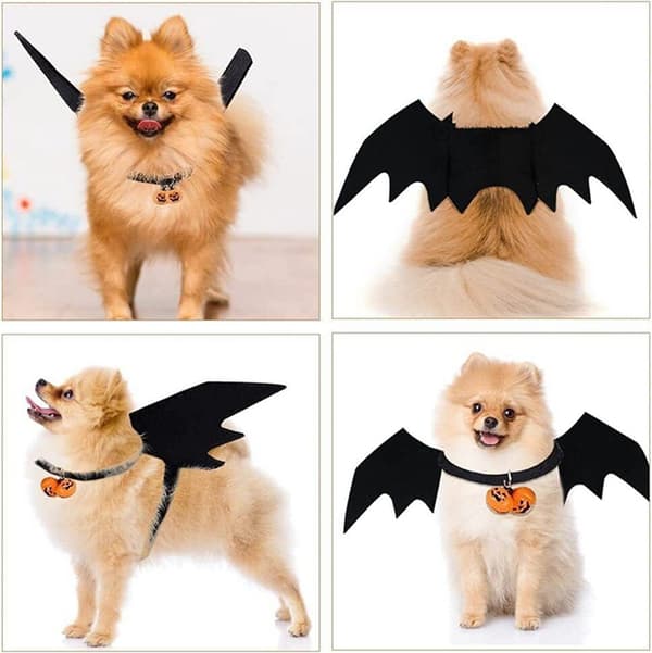 Söt Halloween Husdjursfladdermuskostym, Svart