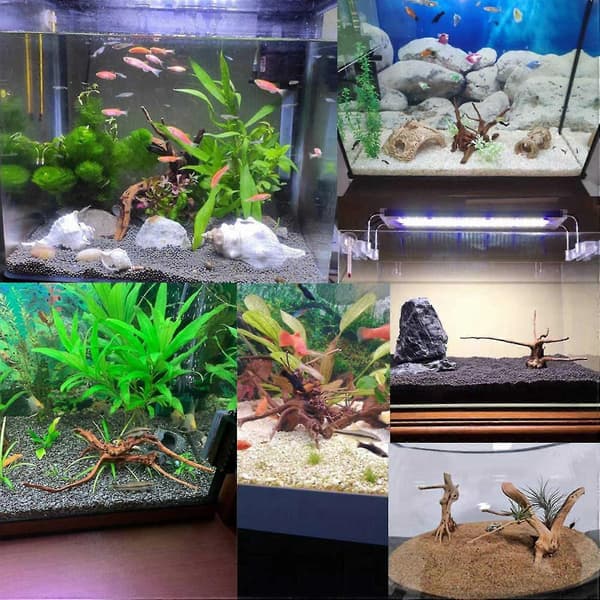 Mini Drivtømmer til Akvarium Naturlige Trægrene (10 stk)