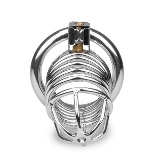 Capture L Chrome Steel Penis Chastity Cage