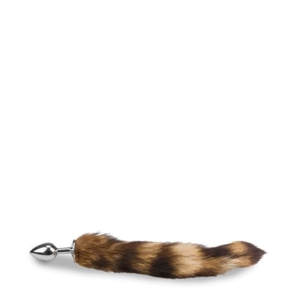 Brun tabby päls katt svansplugg