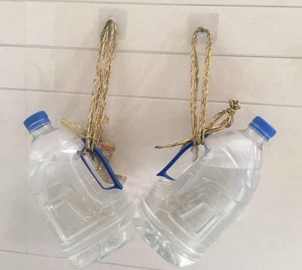 10-pack 15lb (max) sömlös liten väggkrok självhäftande transparent