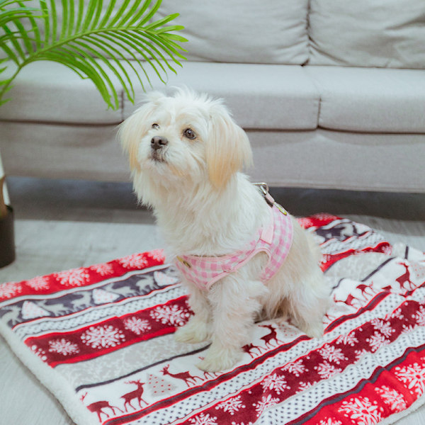 Husdjursdyna Katt Hund Madrass Mjuk Varm Filt, Leopardtryck