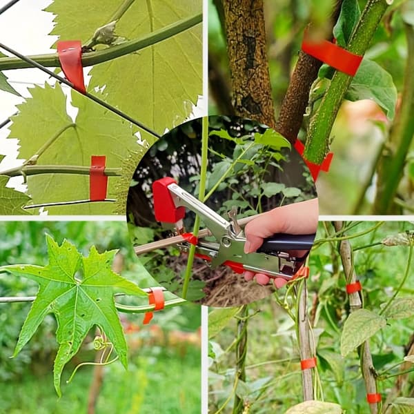 Plante-bindemaskine til tomat, agurk, vinranke, knytte-værktøj, rød Set Red