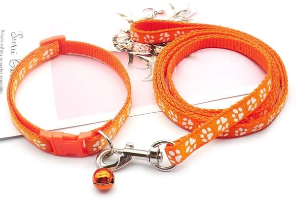 Hundehvalpehalsbånd med snor justerbar blød nylon 1,2m, til små hunde orange