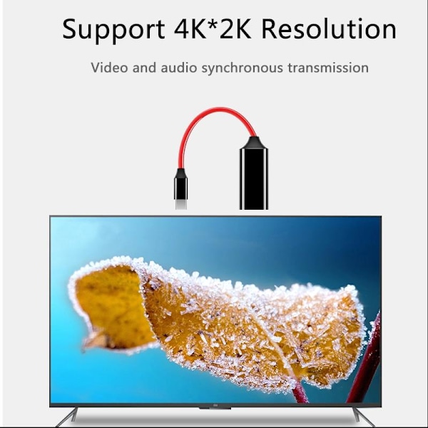USB-C till HDMI-adapter 4K*2K
