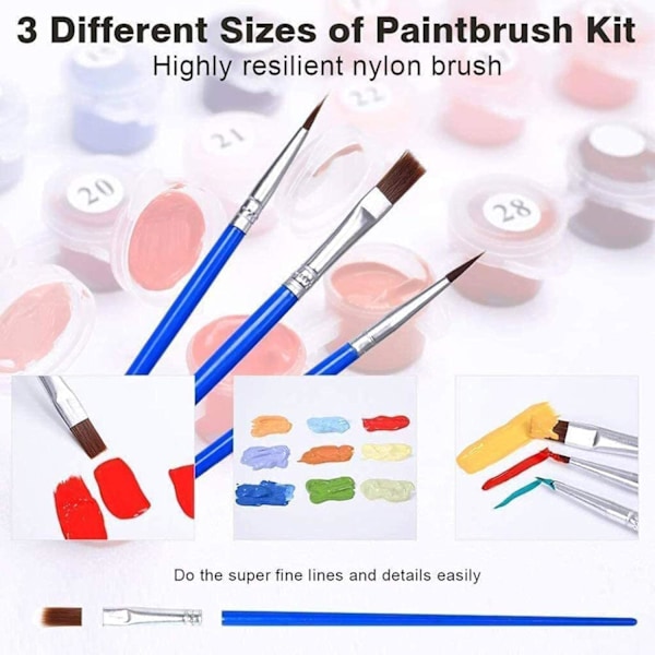 DIY Paint by Numbers för vuxna nybörjare, vuxenmålning efter nummer