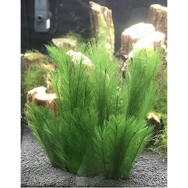 3-pak Akvarium Dekorative Vandplanter - Landskabsplejeartikler