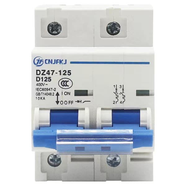 2p 80a 100a 125a DC Mcb 600v Circuit Breaker for PV System C Curve-FS- 100A
