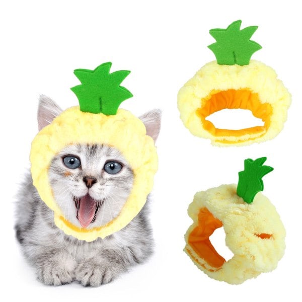 Husdjurshatt, Teddy, Ananas Huvudbonad, Katt, Hatt, Öppna Öron Katt Huvud