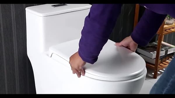 WC-istuimen saranoiden vaihtosarja, yleismalli, ruostumatonta terästä, helppo asentaa