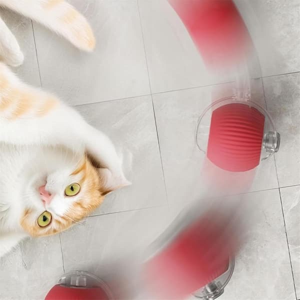 Rolling Ball, Dog Chew Ball, Interactive Smart Ball Toy for Dogs, Interactive Toy for Cats, 360° Smart Automatic Red