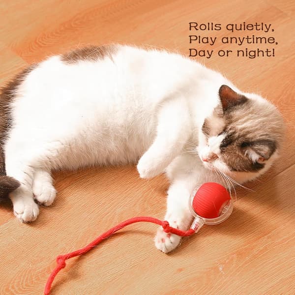 Rolling Ball, Dog Chew Ball, Interactive Smart Ball Toy for Dogs, Interactive Toy for Cats, 360° Smart Automatic Red