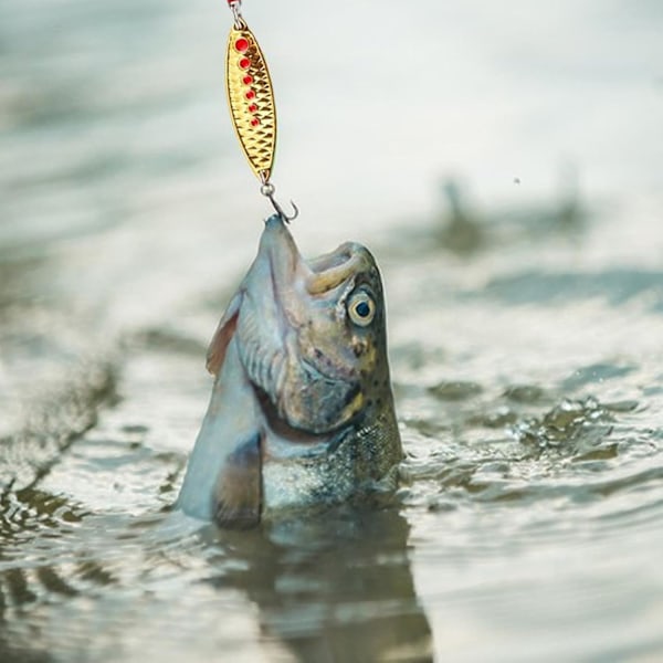 Fiskedrag Kit för öring, Adventskalender Fiskedrag | Fiske adventskalender 2024 - Creative Freshwater Trout Lures Kit för att attrahera stor bas