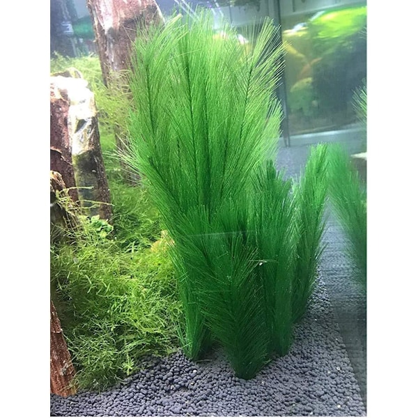 3-pack Akvarium Dekorativa Vattenväxter - Landskapstillbehör