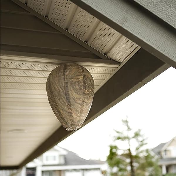 4pcs Wasp Traps Non-toxic Paper Lure, Bee Deterrent - Wasp Nest Beige