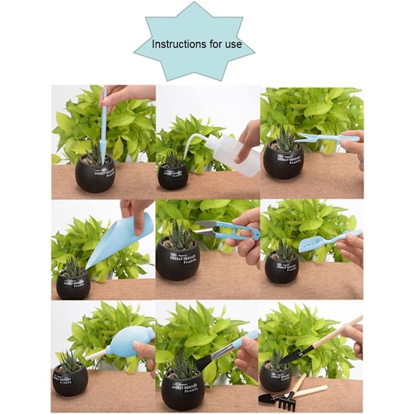 16 Delars Bonsai Verktygsset Mini Suckulent Växt Omplantering