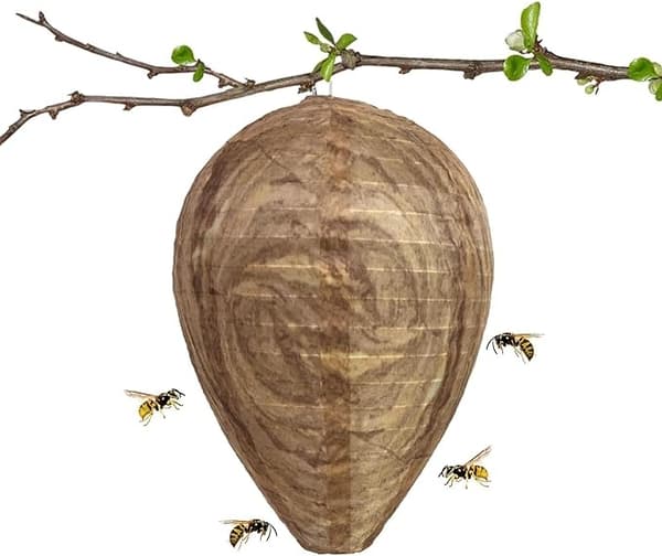 4pcs Wasp Traps Non-toxic Paper Lure, Bee Deterrent - Wasp Nest Beige